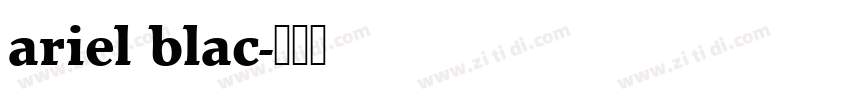 ariel blac字体转换